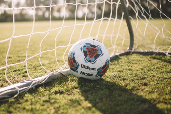 Trug begeleidt K. Berchem sport